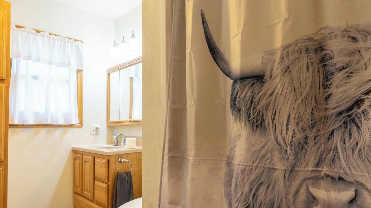 Photo of Bathroom in Chippewa Falls
