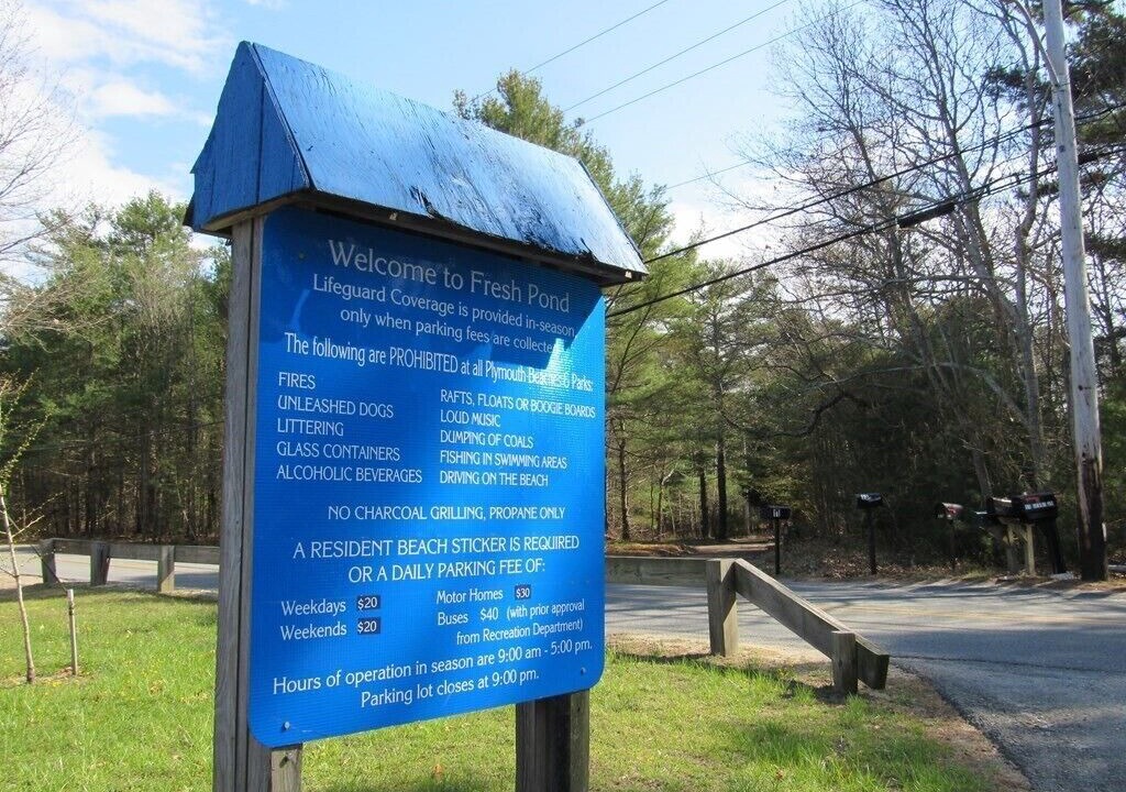 Photo of Outdoor in Cedar Bushes