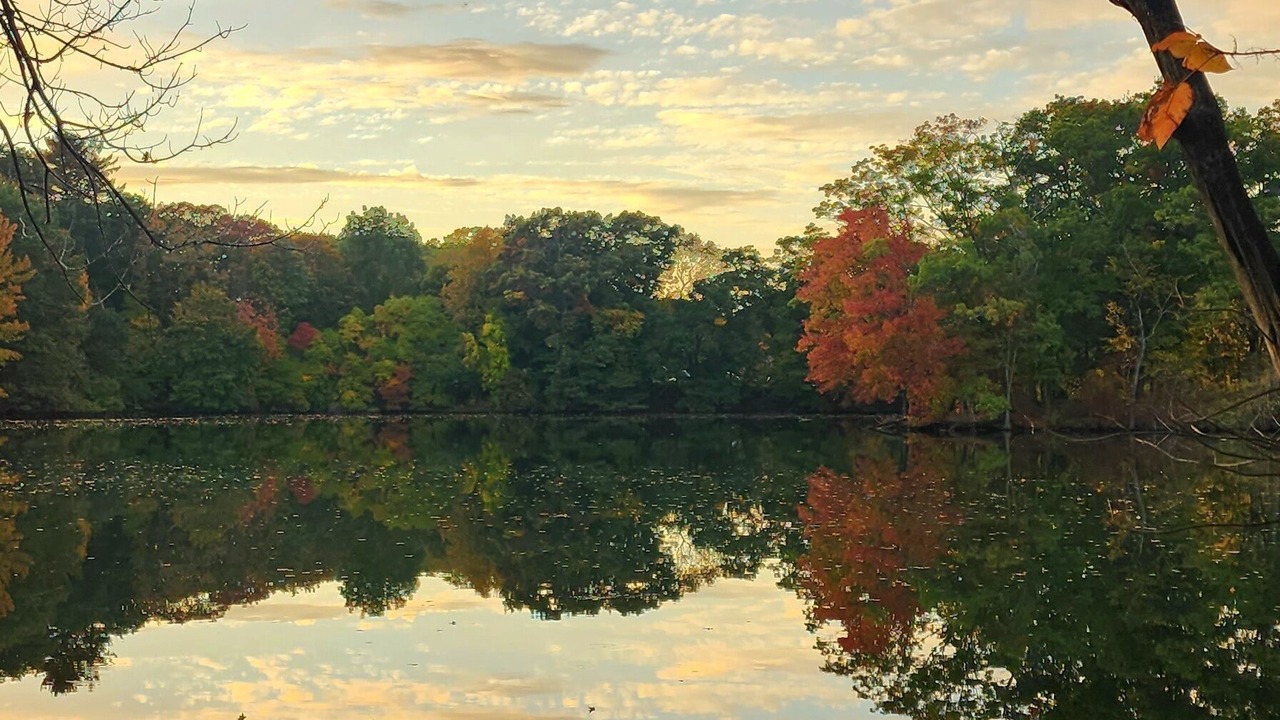 Photo of Outdoor in Washington Park