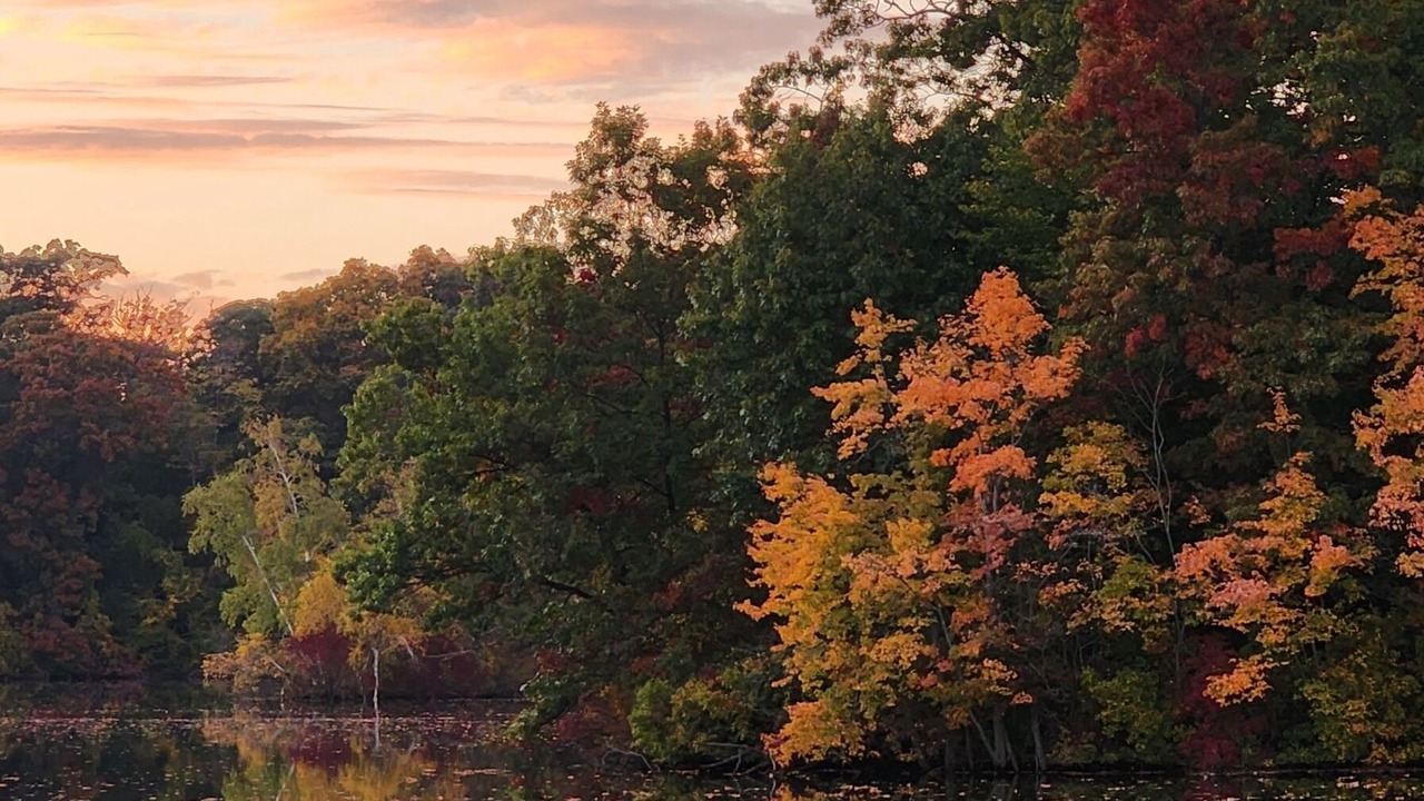 Photo of Others in Washington Park