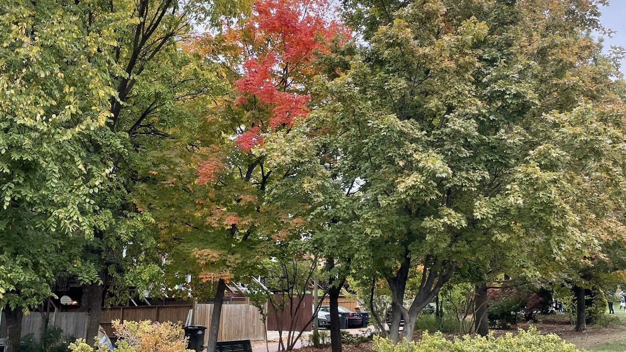 Photo of Outdoor in Le Droit Park