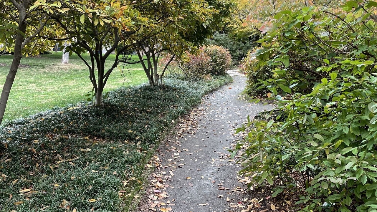 Photo of Outdoor in Le Droit Park