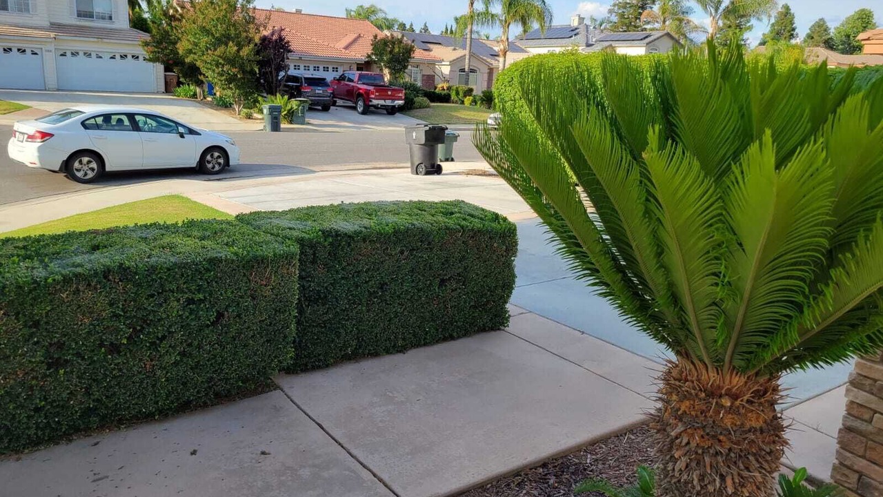 Photo of Outdoor in Southern Oaks