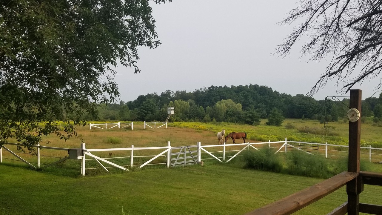 Photo of Outdoor in Neshkoro