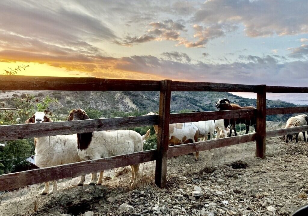 Photo of Outdoor in Ventura County