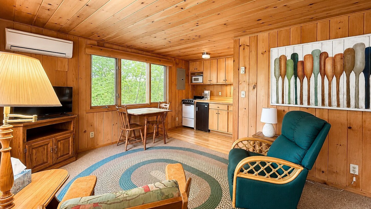 Photo of Livingroom in Detroit Lakes