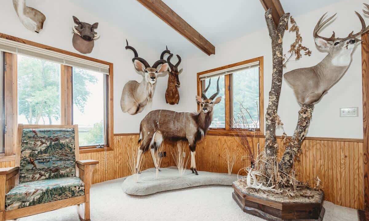 Photo of Others in Ottertail