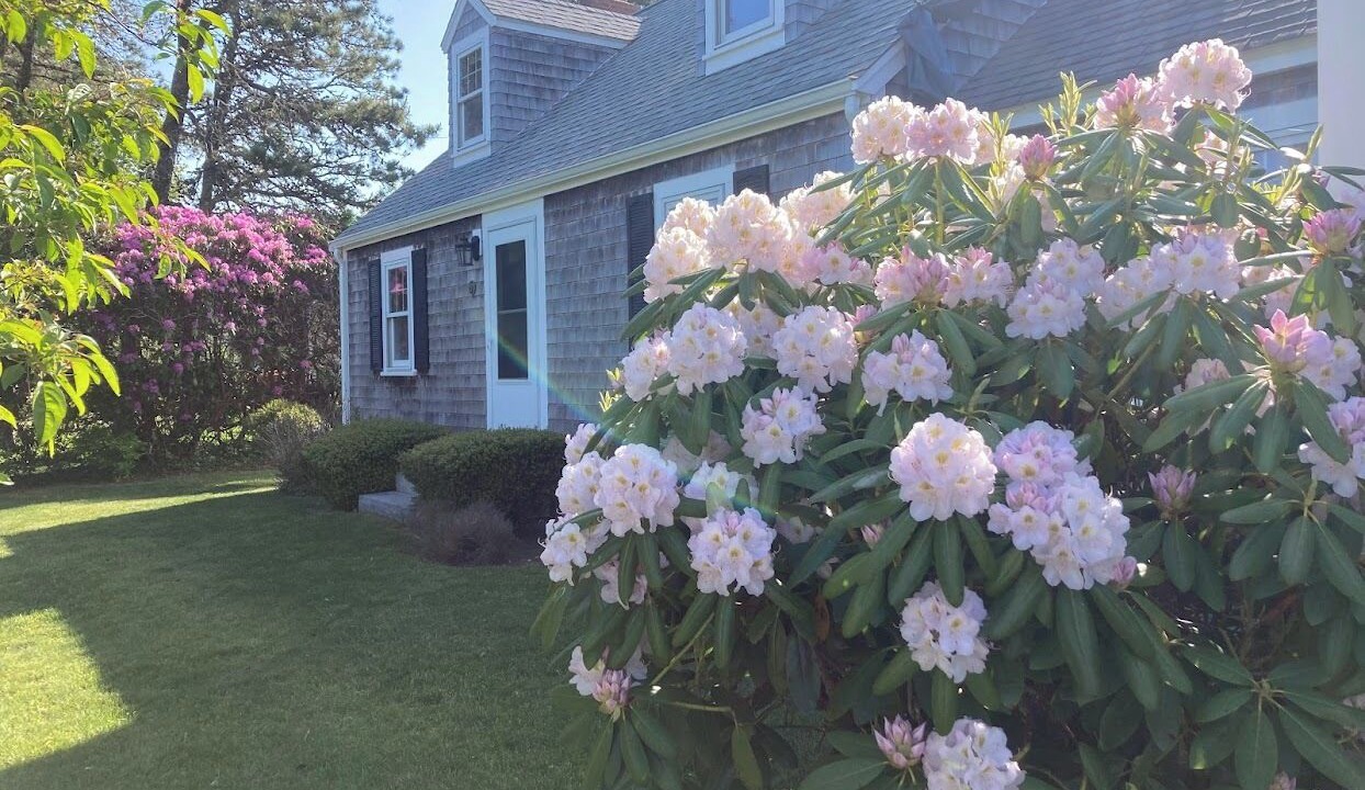 Photo of Outdoor in South Chatham