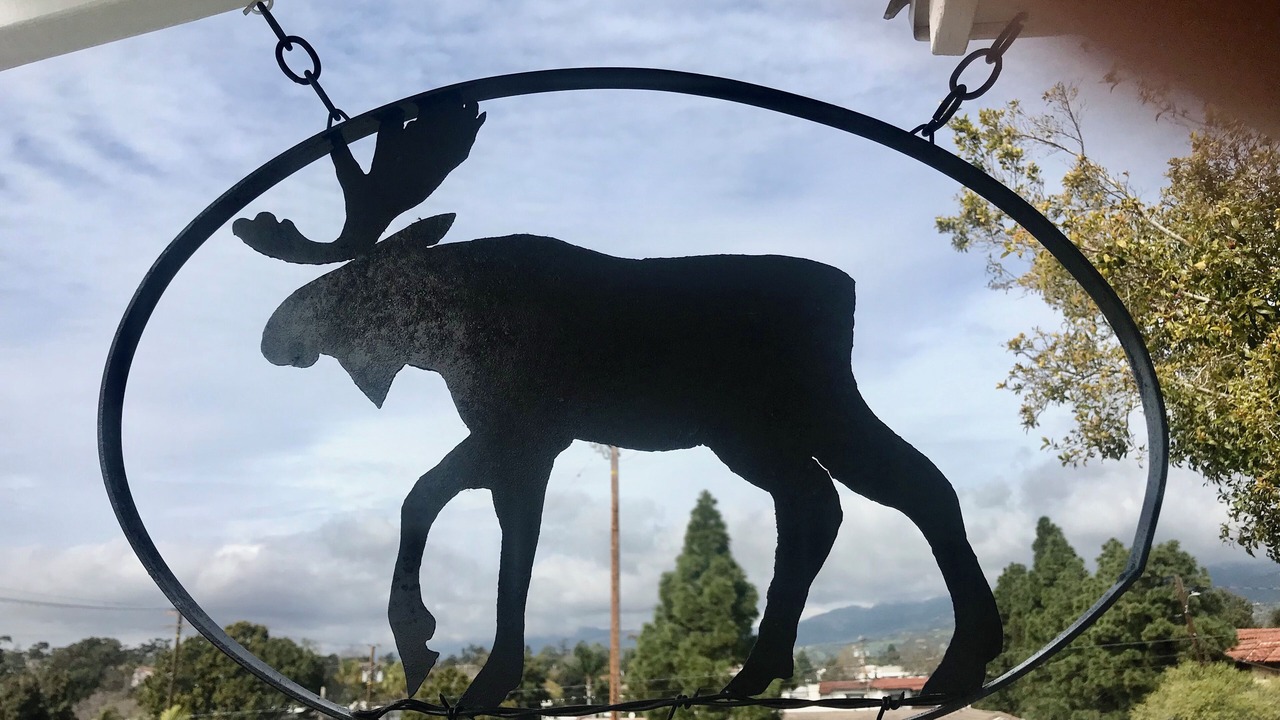 Photo of Outdoor in Oak Park