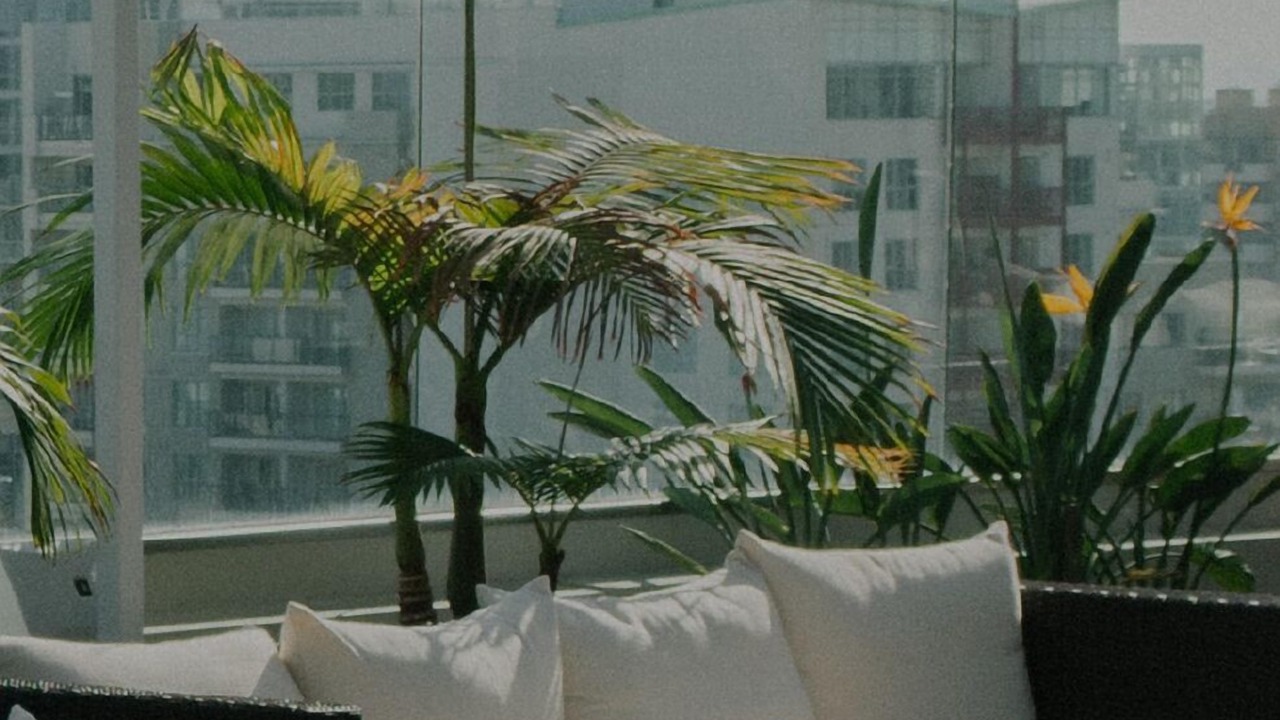 Photo of Outdoor in Chinatown