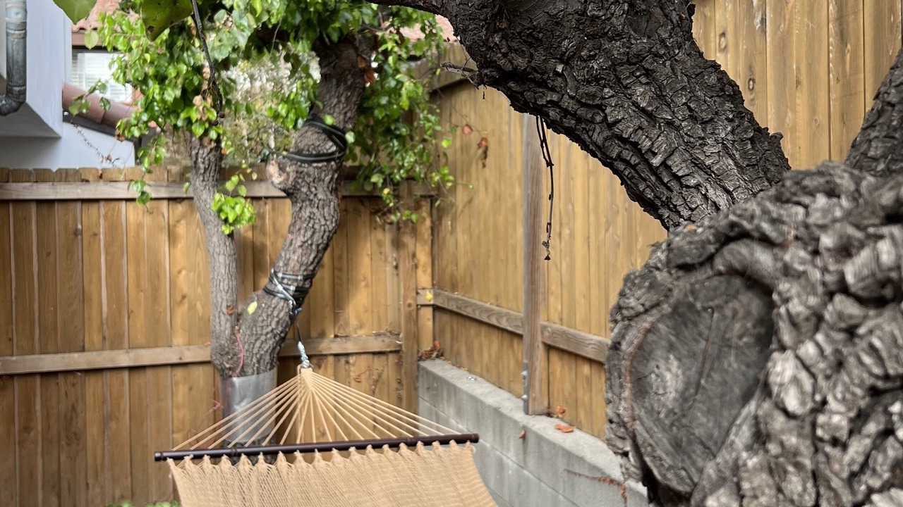 Photo of Outdoor in Laguna
