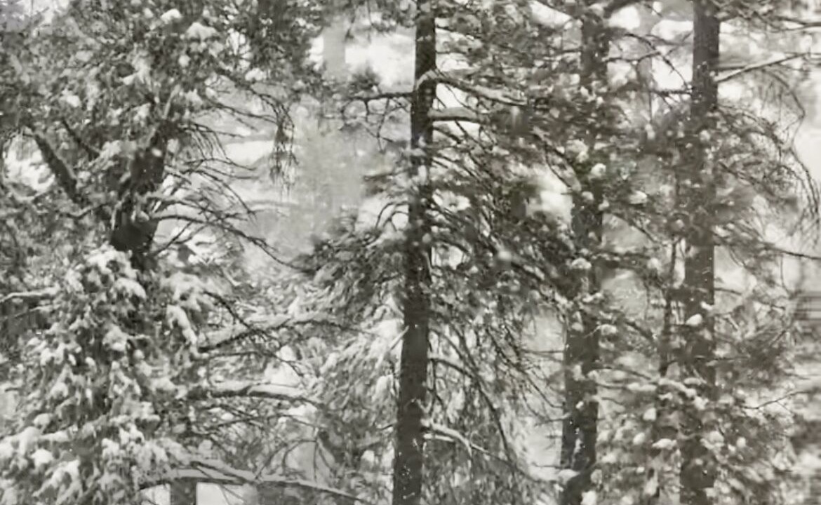 Photo of Outdoor in Sugarloaf