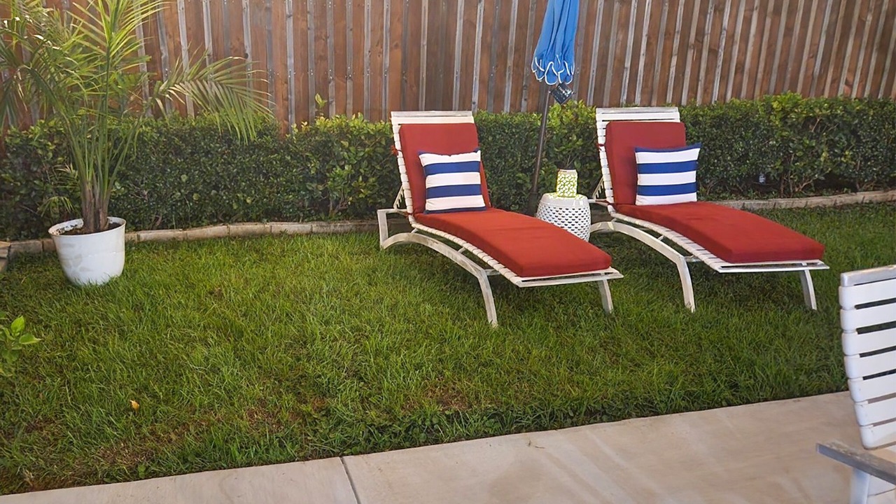 Photo of Outdoor in Gentilly Woods