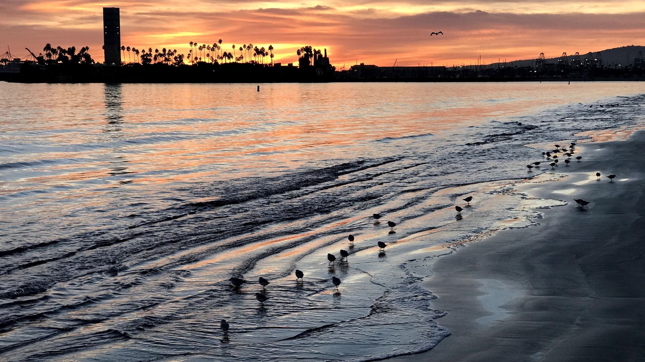 Photo of Others in Alamitos Beach