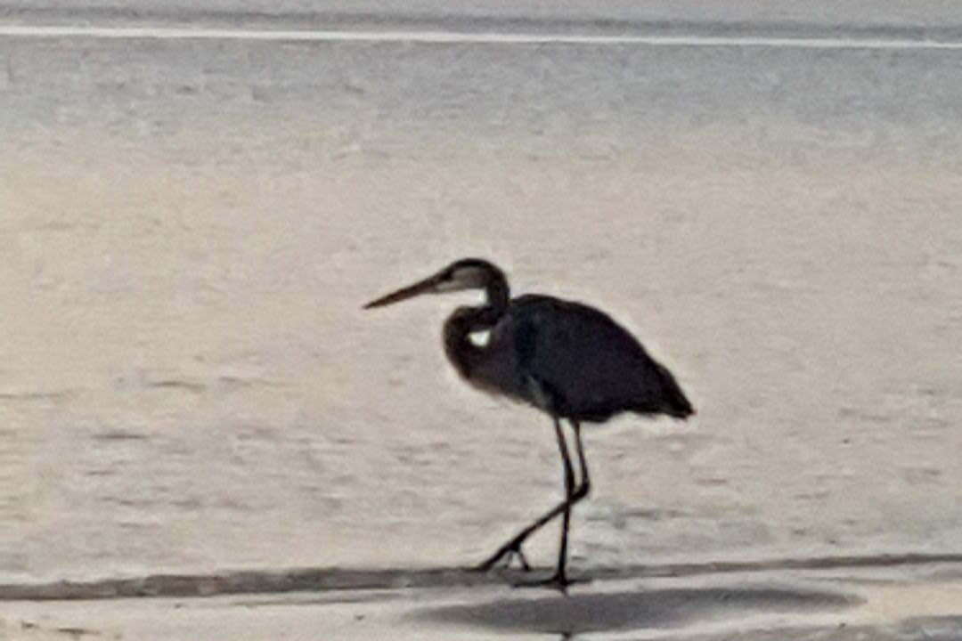 Photo of Others in Waveland