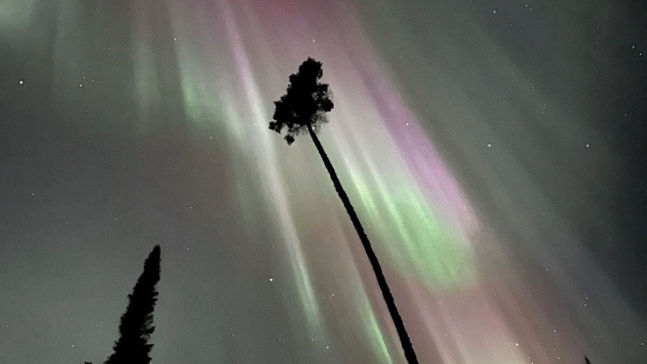 Photo of Others in Grand Marais