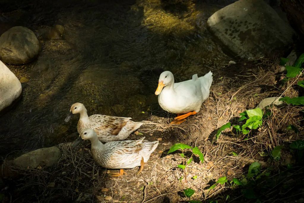 Photo of Others in Ventura County