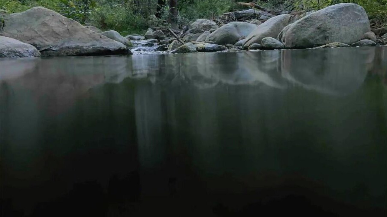 Photo of Others in Ventura County