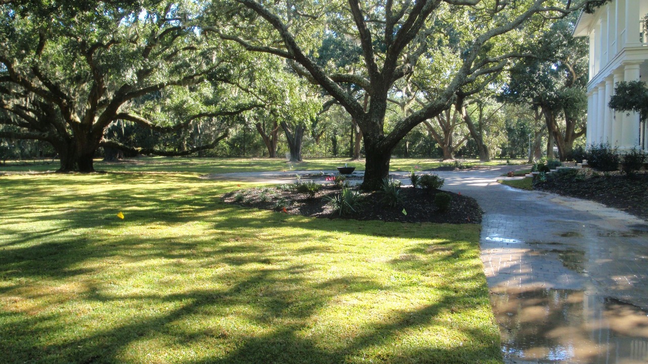 Photo of Outdoor in Ocean Springs