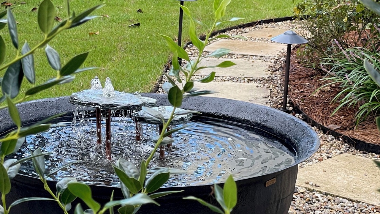 Photo of Outdoor in Bay St Louis