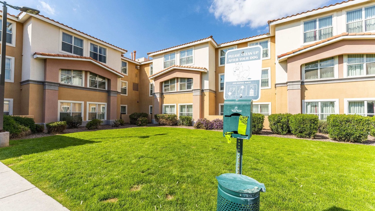 Photo of Outdoor in Central Scottsdale