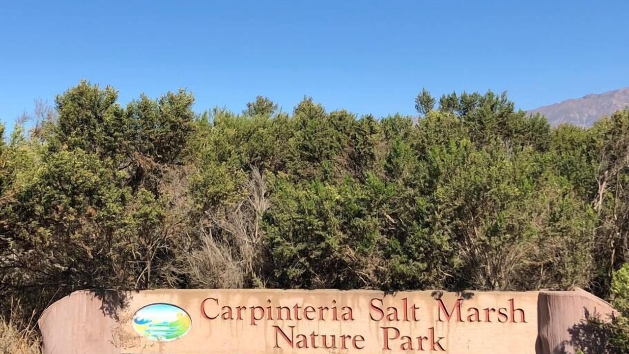 Photo of Others in Carpinteria