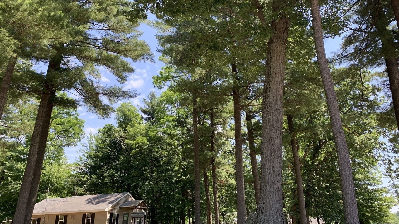 Photo of Outdoor in Wautoma