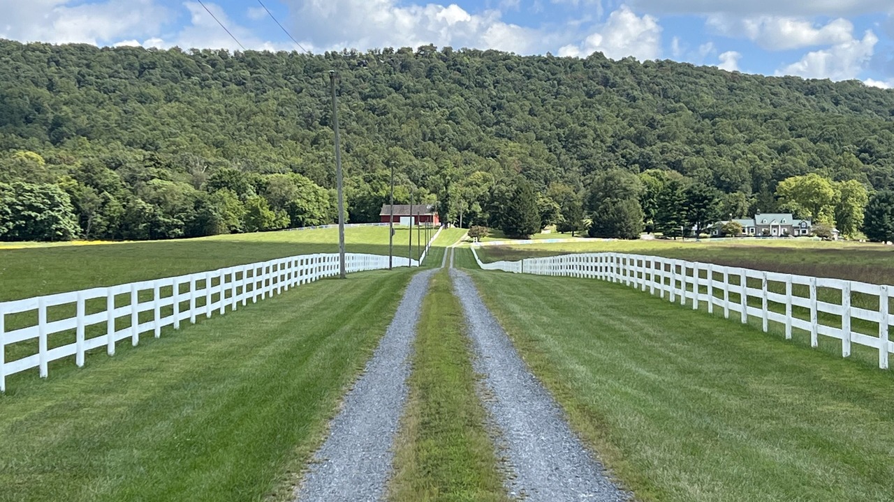 Photo of Others in Purcellville