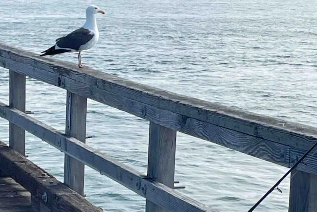 Photo of Others in Oxnard