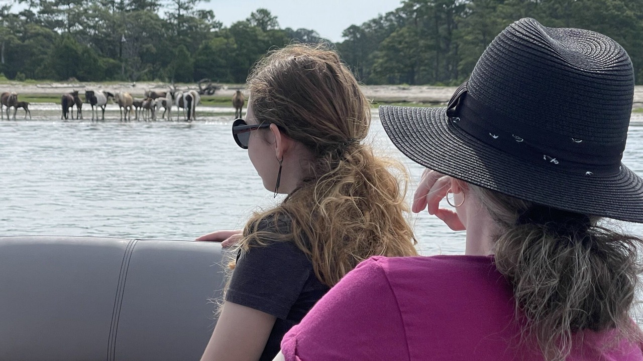 Photo of Others in Chincoteague