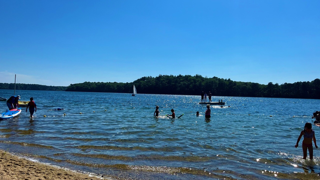 Photo of Others in Brewster