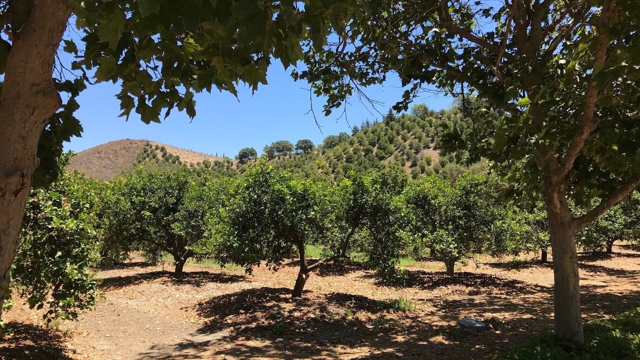 Photo of Outdoor in Somis