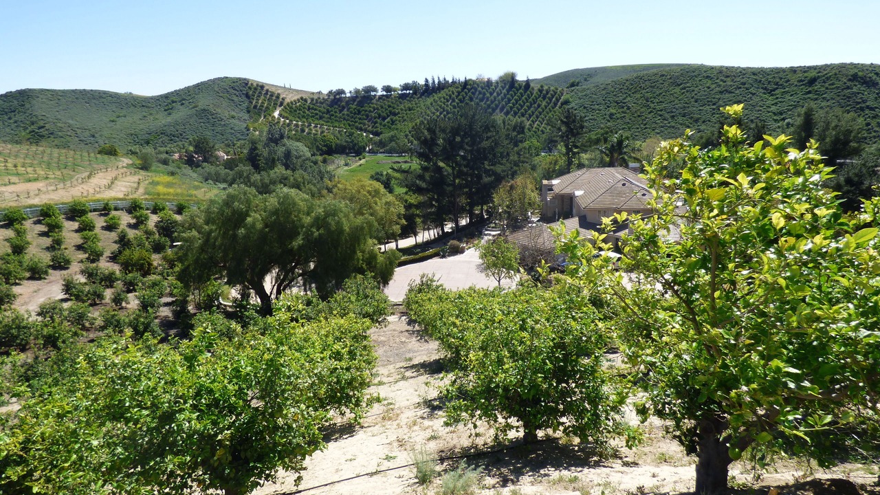 Photo of Outdoor in Somis