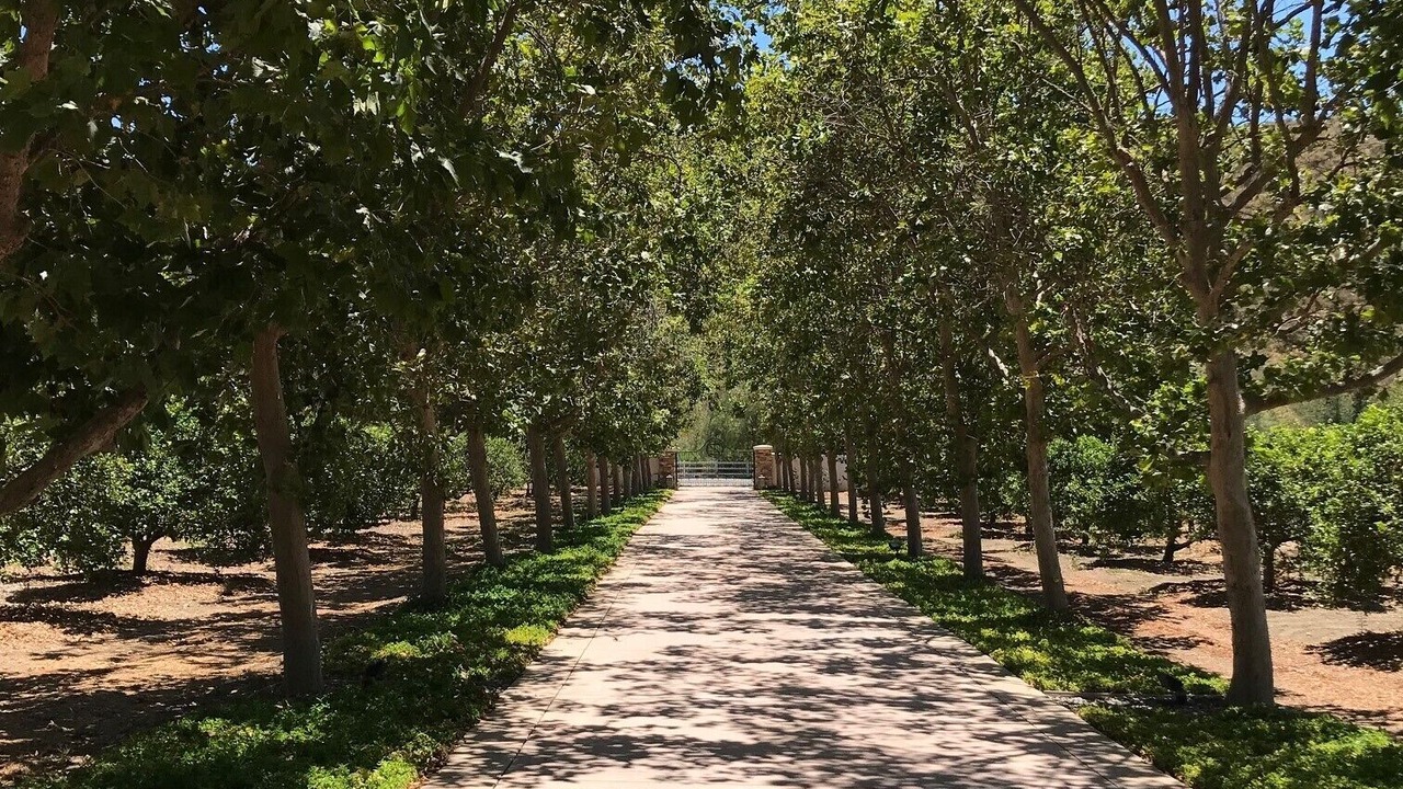 Photo of Outdoor in Somis