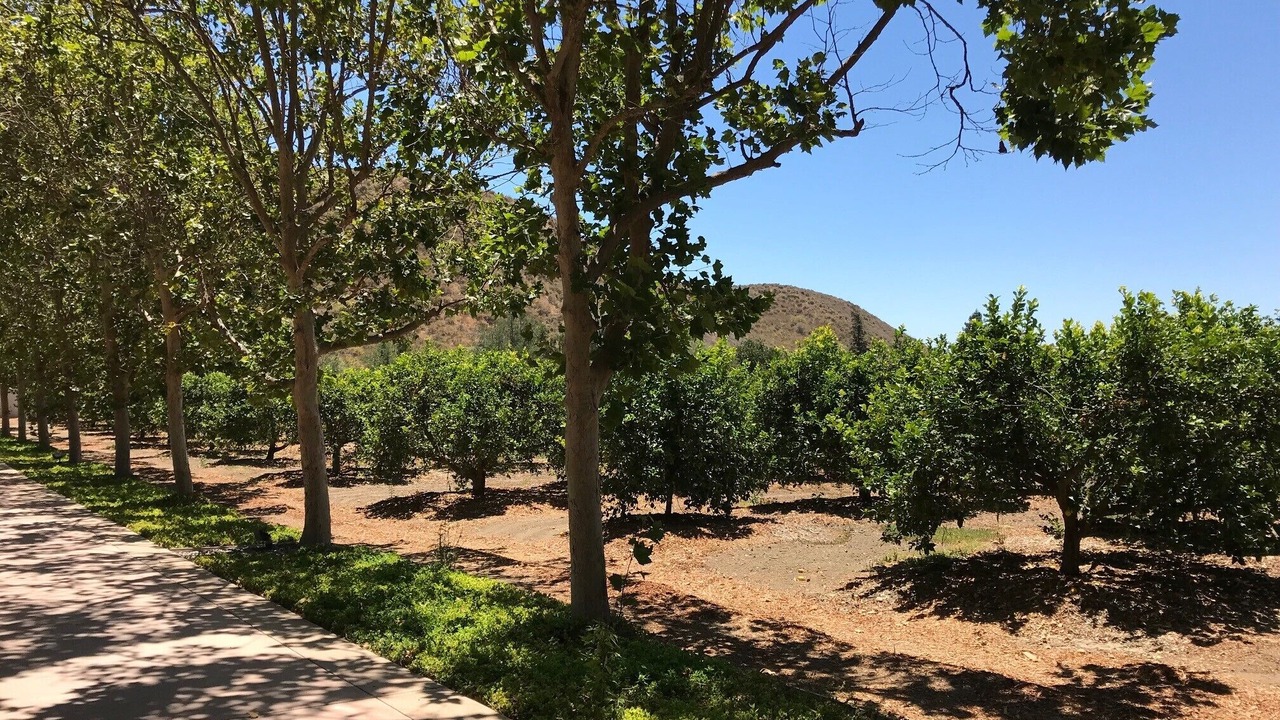 Photo of Outdoor in Somis