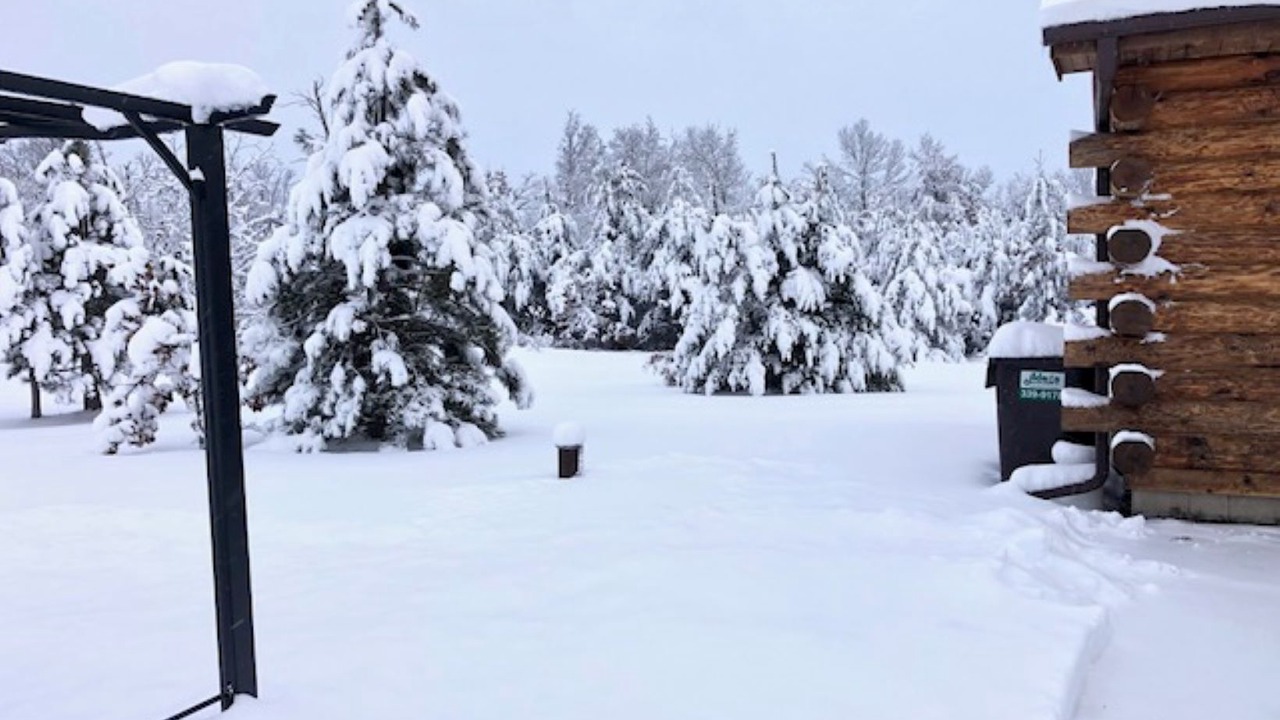 Photo of Outdoor in Friendship