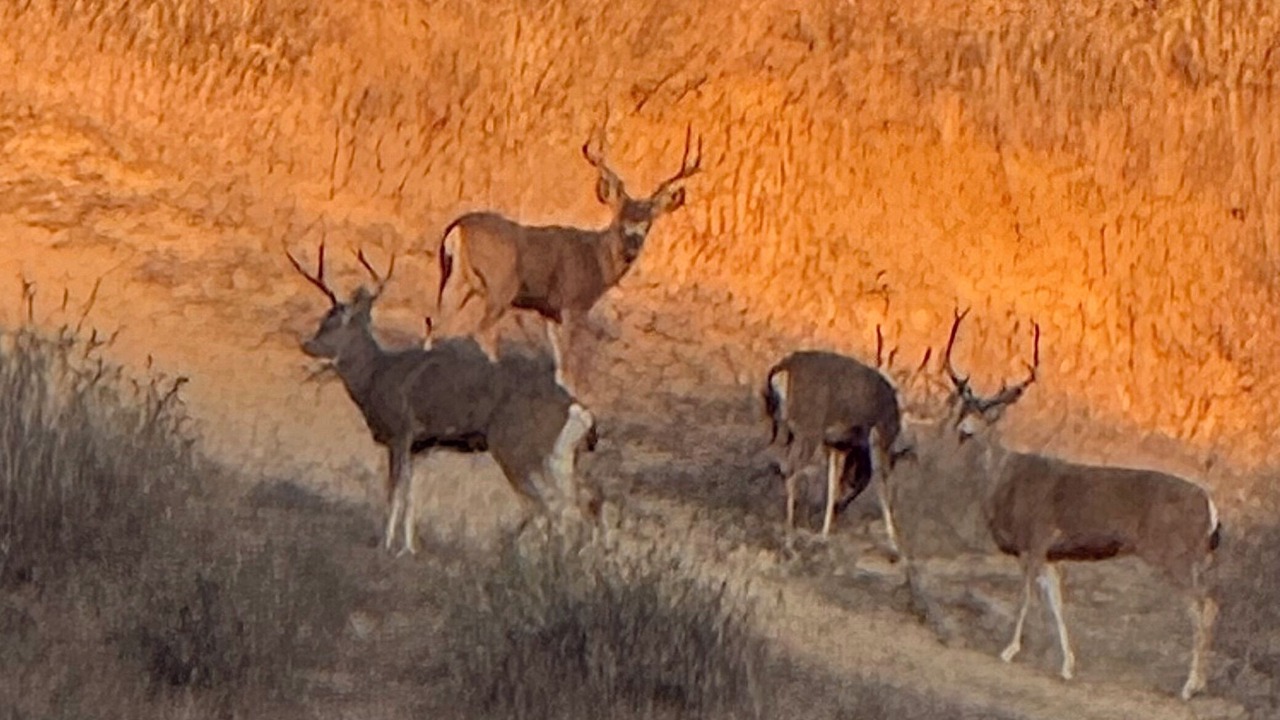 Photo of Others in Ventura County
