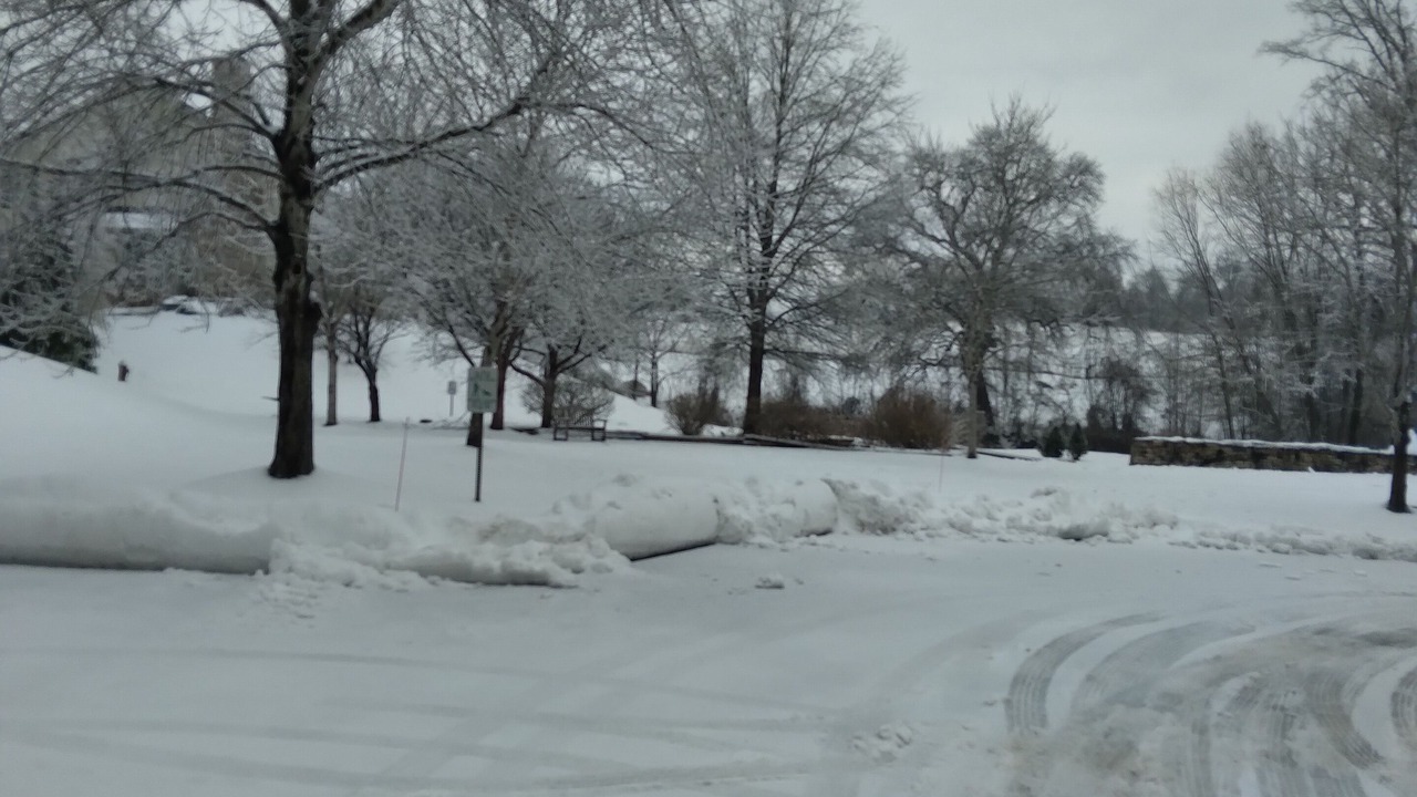Photo of Others in Middleburg
