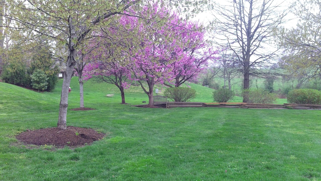 Photo of Outdoor in Middleburg