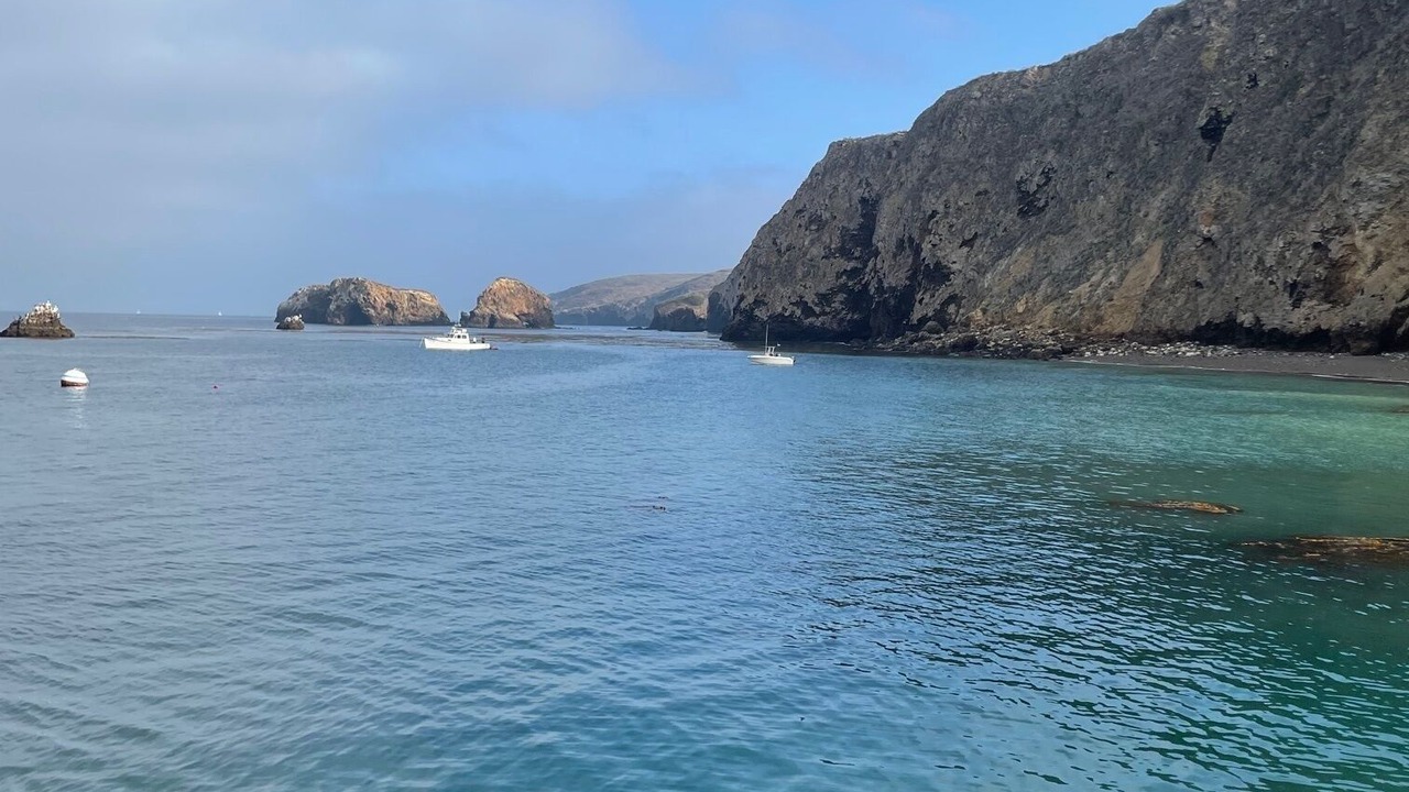 Photo of Others in Silver Strand