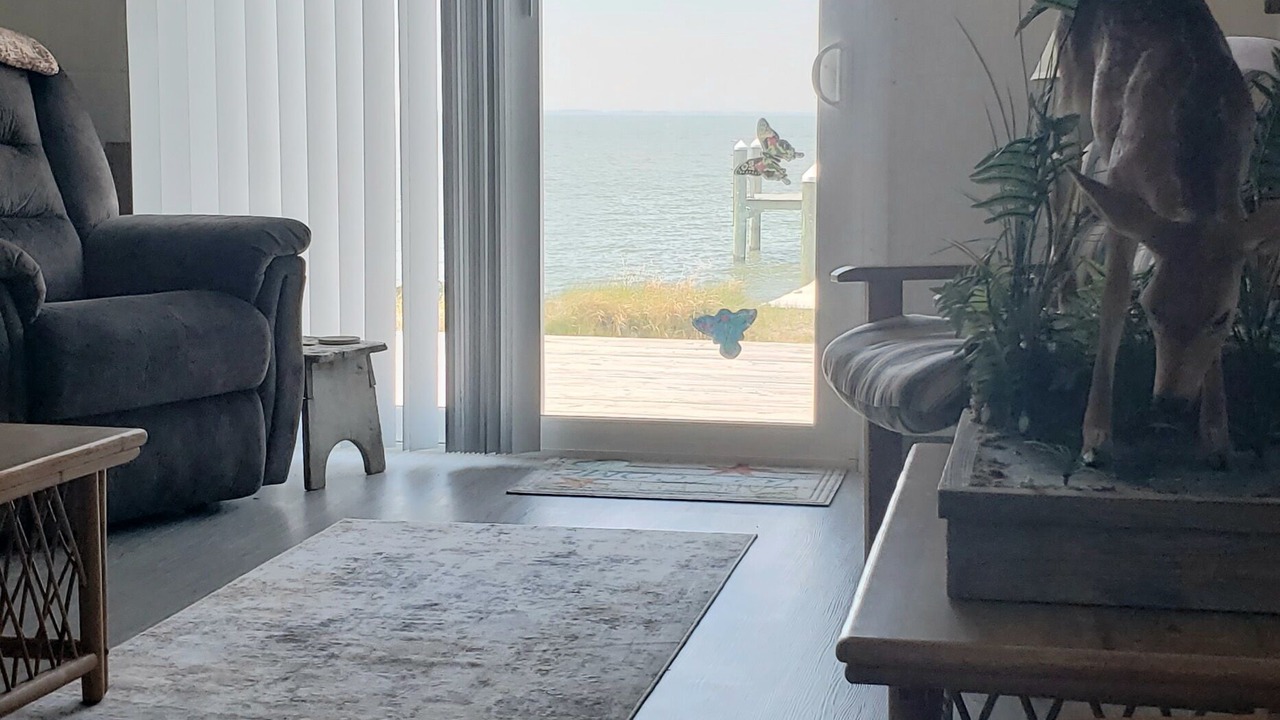 Photo of Livingroom in Deal Island