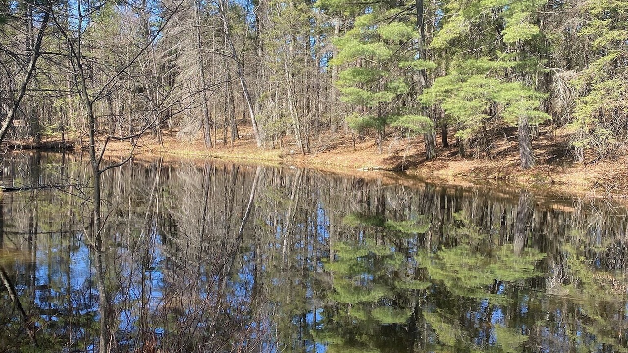 Photo of Outdoor in Manitowish Waters