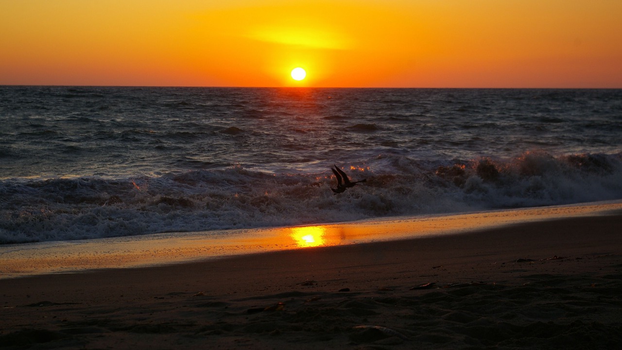Photo of Others in Oxnard Shores