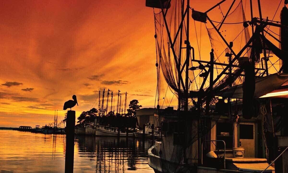 Photo of Others in Waveland