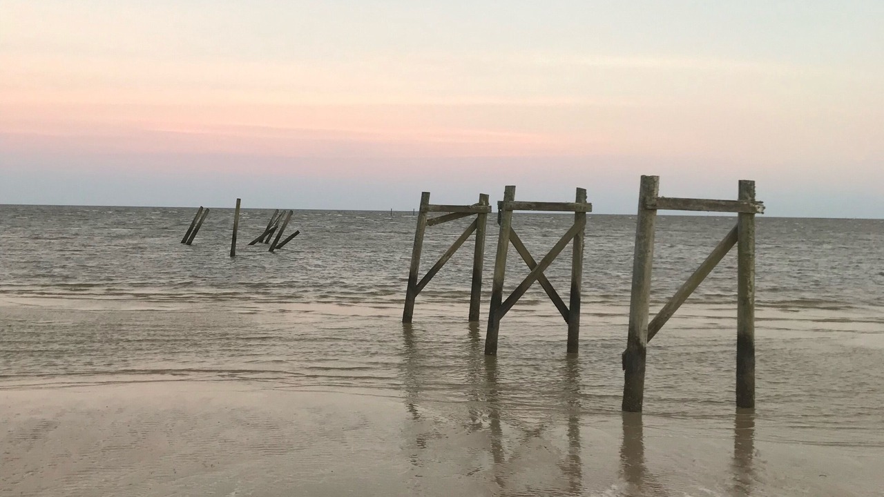 Photo of Others in Waveland