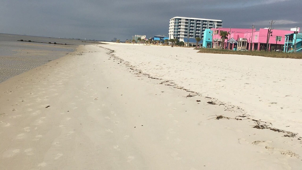 Photo of Others in Biloxi