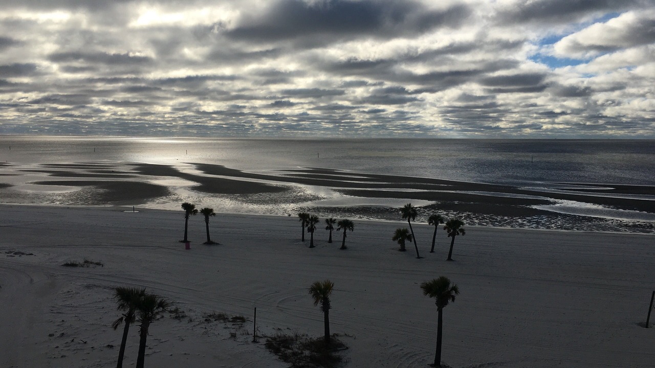 Photo of Others in Biloxi