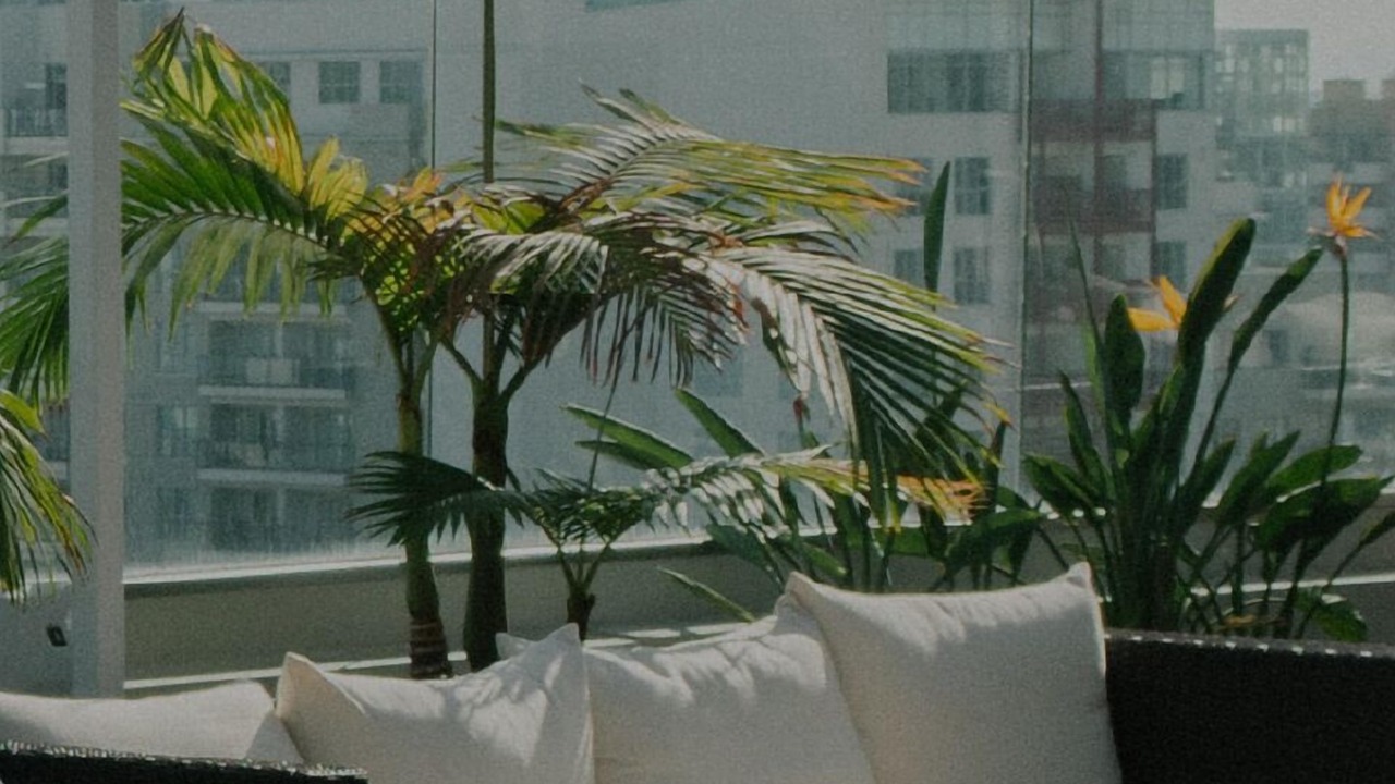 Photo of Outdoor in Hollywood