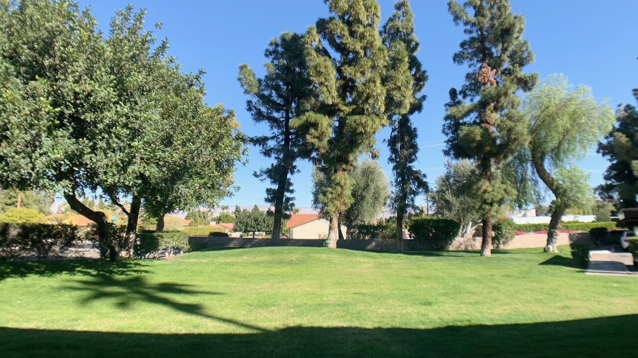 Photo of Outdoor in Chino Canyon