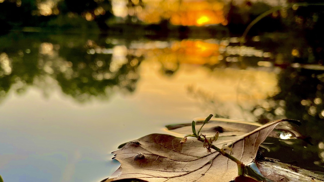Photo of Outdoor in Raceland